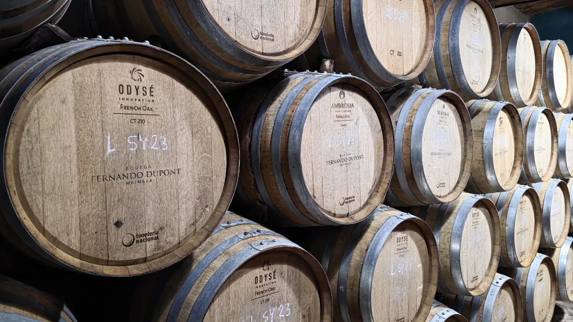 Visita guiada en Bodega Fernando Dupont